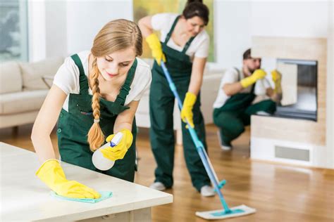 cleaning services in michigan